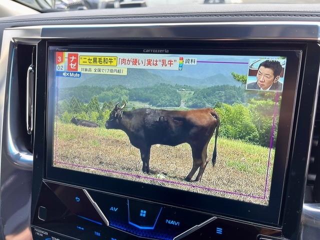 アルファード（愛媛県伊予郡松前町）画像24