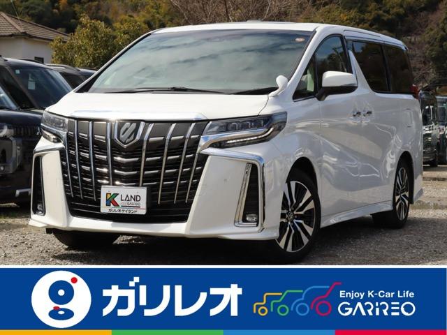 アルファード（愛媛県松山市）