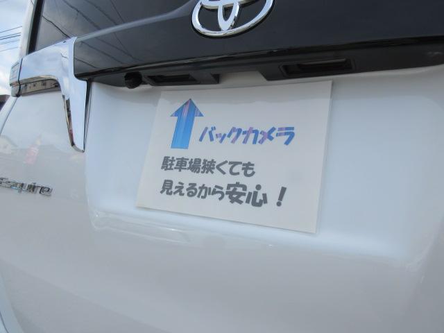 エスクァイア（愛媛県松山市）画像8