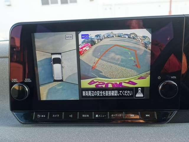 サクラ（愛媛県松山市）画像17
