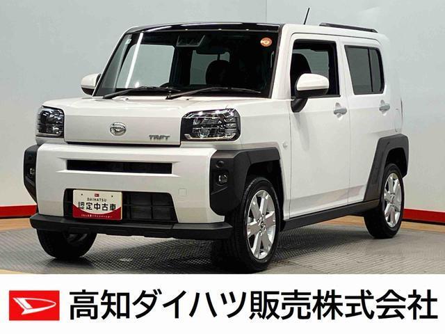 タフト（高知県高知市）