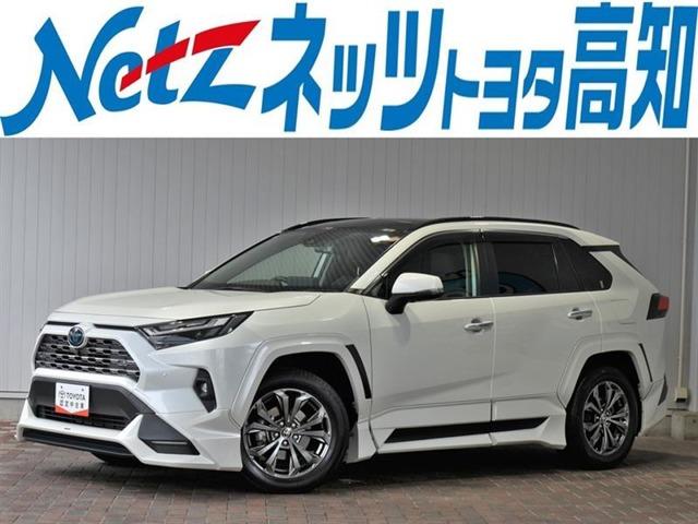 RAV4 ネッツトヨタ高知(株) 駅前通り店（高知県高知市）｜エムジェー