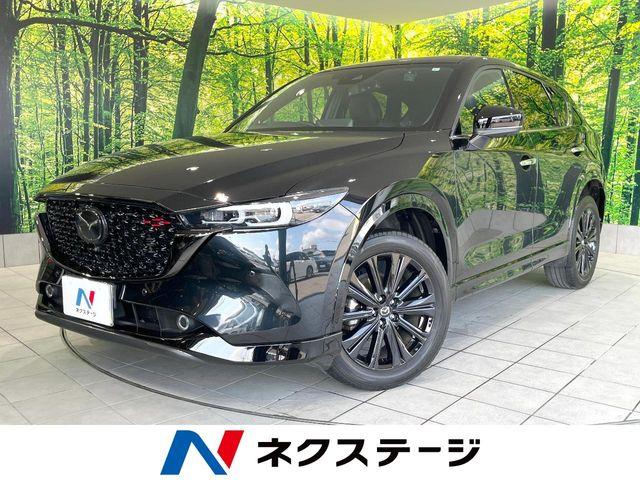 松中 コアライトプラスBMZ | CORE-RIGHT+BMZ シューケア/アクセサリー