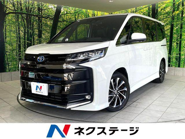 ノア ネクステージ高知店（高知県高知市）｜エムジェー