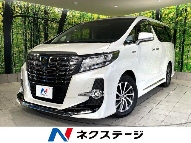 アルファード（高知県高知市）