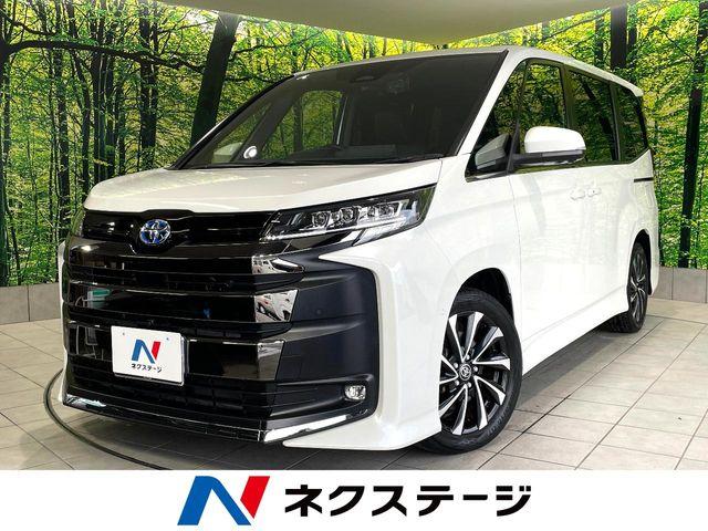 ノア ネクステージ高知店（高知県高知市）｜エムジェー