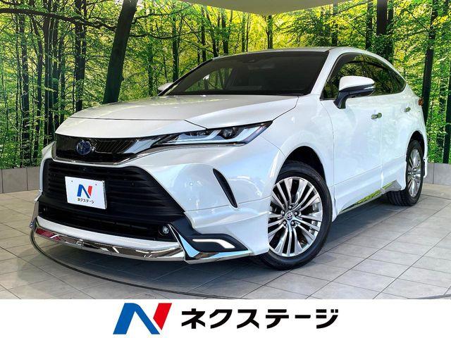ハリアー ネクステージ高知店（高知県高知市）｜エムジェー