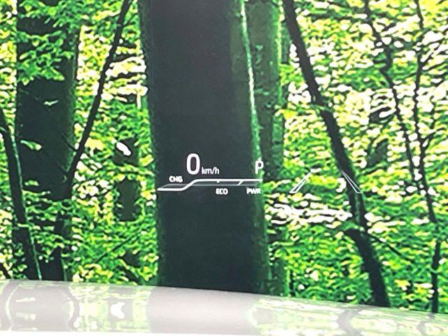 ハリアー（高知県高知市）画像8