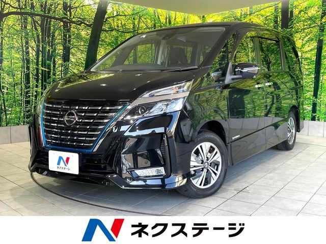 セレナ（高知県高知市）