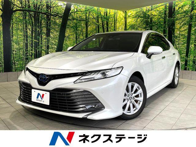 カムリ（高知県高知市）