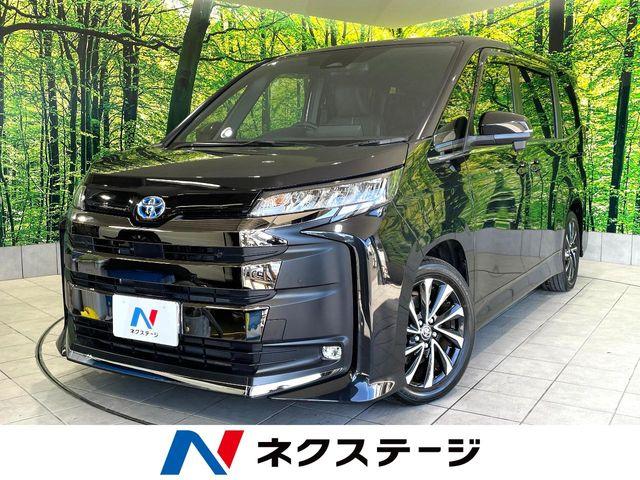 ノア（高知県高知市）