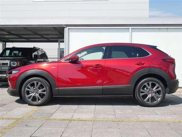 CX-3（高知県香南市）画像3