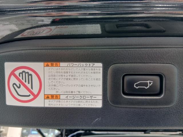 ヴェルファイア（愛媛県松山市）画像22