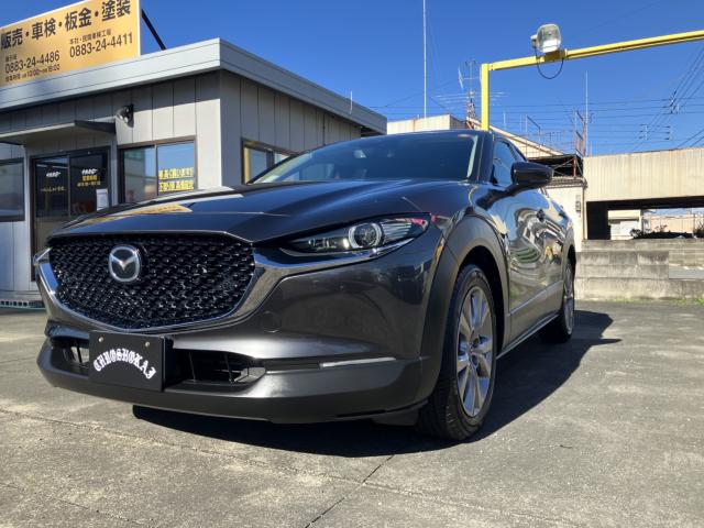 CX-30