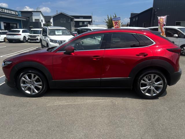 CX-30（徳島県板野郡松茂町）画像5