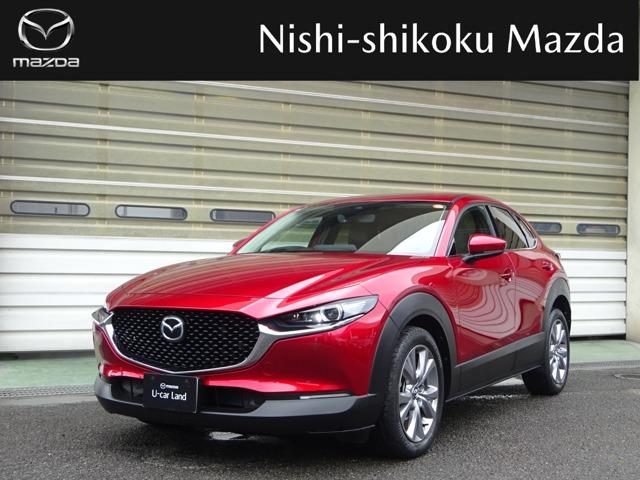 CX-30