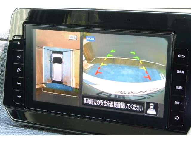 サクラ（愛媛県宇和島市）画像10