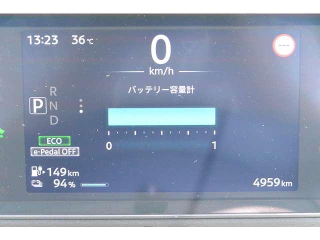 サクラ（愛媛県宇和島市）画像13