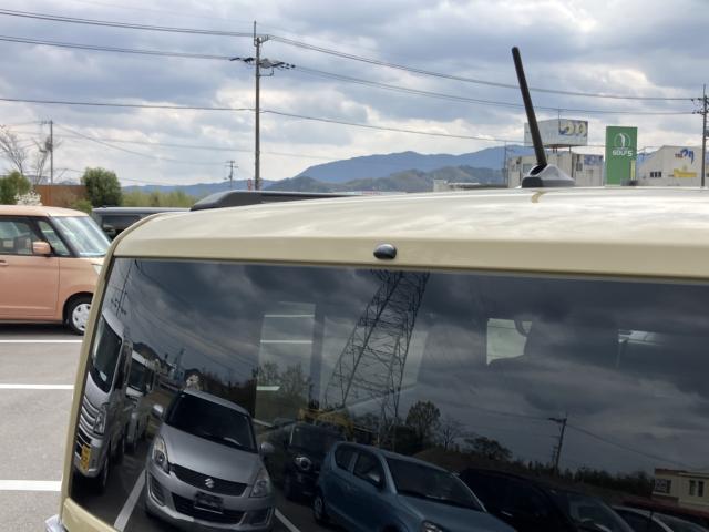 タフト（徳島県徳島市）画像40