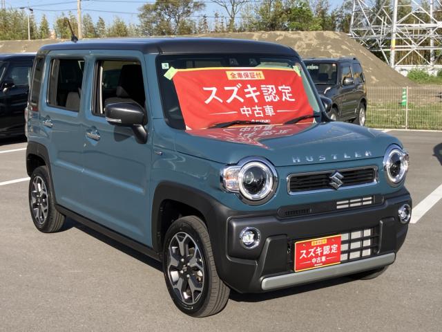 ハスラー（徳島県阿南市）画像29