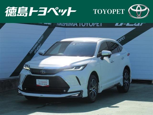 ハリアー（徳島県板野郡北島町）