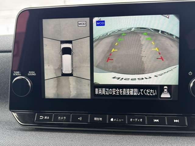 サクラ（徳島県阿南市）画像13