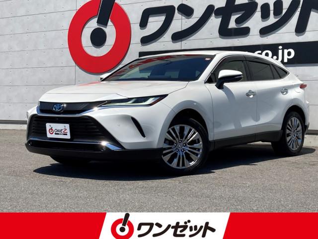 ハリアー ワンゼット徳島店（徳島県徳島市）｜エムジェー