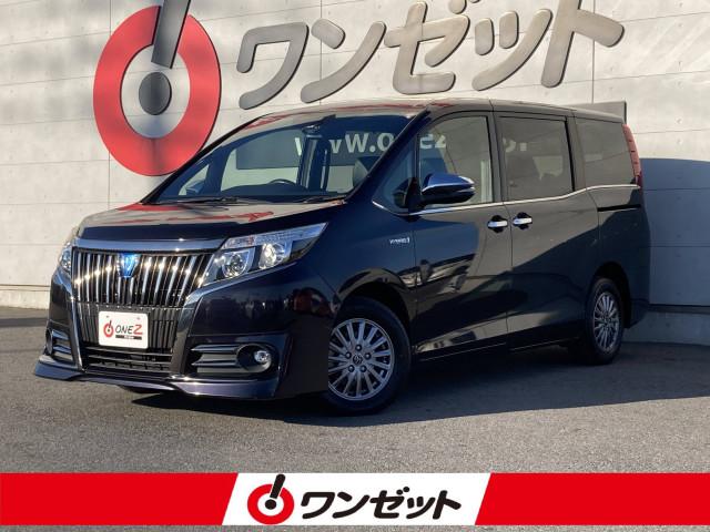 エスクァイア ワンゼット徳島店（徳島県徳島市）｜エムジェー