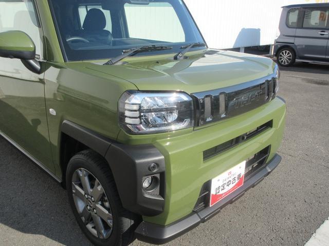 タフト（徳島県徳島市）画像5