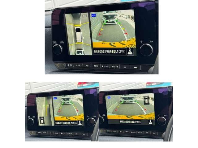サクラ（徳島県板野郡藍住町）画像9