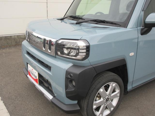 タフト（徳島県阿南市）画像6