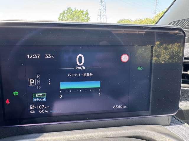 サクラ（徳島県徳島市）画像3
