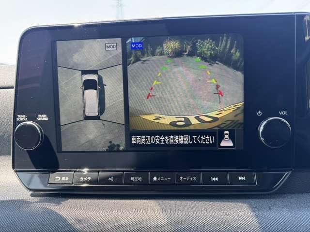 サクラ（徳島県徳島市）画像11