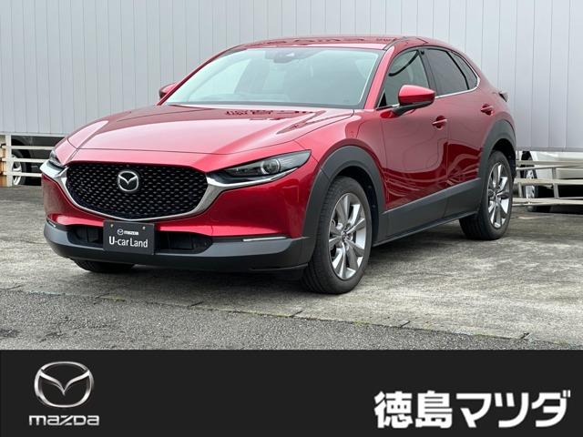 CX-30