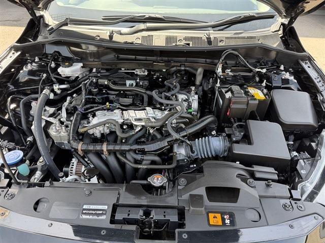 MAZDA2（香川県東かがわ市）画像2