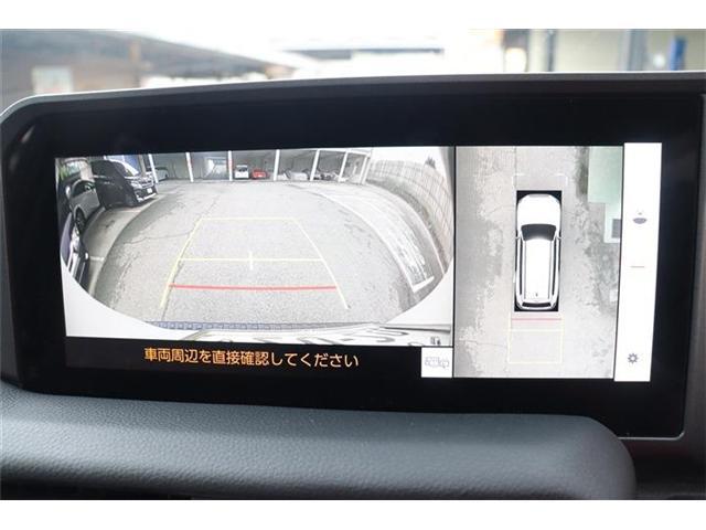 ランドクルーザー(香川県三豊市)