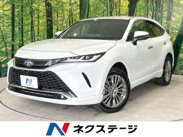 ハリアー ネクステージ 丸亀店（香川県丸亀市）｜エムジェー