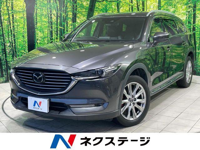 けん様　購入予定 スペースウルフ SW-190 “ハーロック カスタム” w/アクリルスタンド