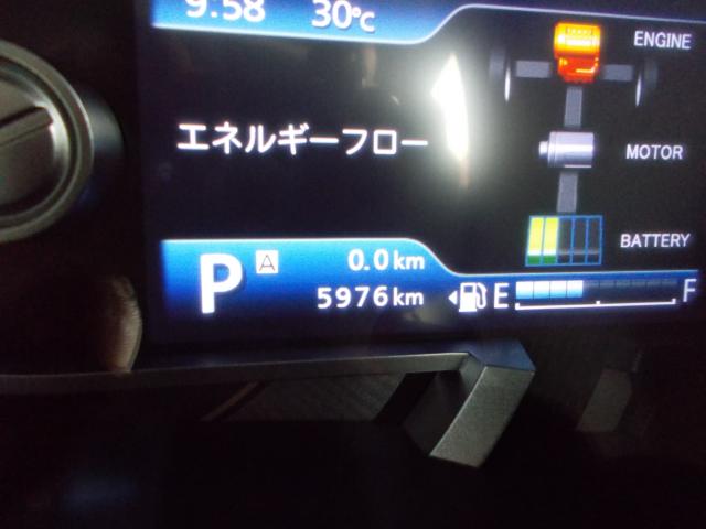 ハスラー（香川県高松市）