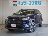 RAV4 ネッツトヨタ愛媛 新居浜（愛媛県新居浜市）｜エムジェー