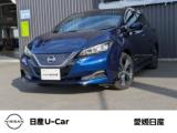 リーフ 愛媛日産自動車(株) カータウン西条（愛媛県西条市）｜エムジェー