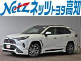 RAV4 ネッツトヨタ高知(株) 駅前通り店（高知県高知市）｜エムジェー