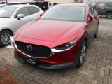 CX-30 (株)フジ モータース マツダオートザムフジグラン北宇和島（愛媛県宇和島市）｜エムジェー
