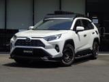 RAV4 G Zパッケージ デルタフォース16インチAW
