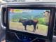 アルファード（愛媛県伊予郡松前町）画像24