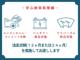 ダイナトラック（愛媛県今治市）画像3