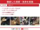 ミライース（徳島県美馬市）画像48