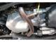 タフト（香川県三豊市）画像34