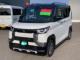 デリカミニ G プレミアム 未使用車 オプションカラー