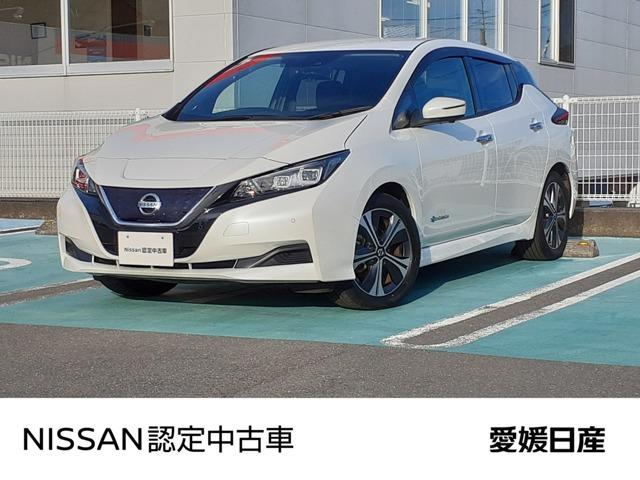 リーフ 愛媛日産自動車(株) カータウン今治（愛媛県今治市）｜エムジェー